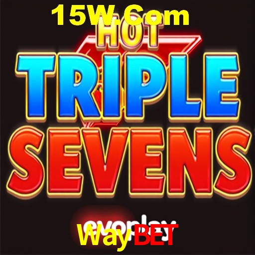 Security Systems Waybet